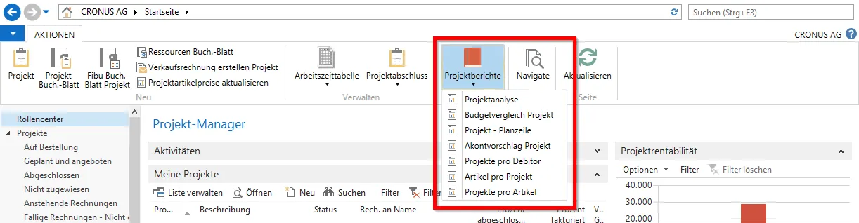 Rollencenter - Projektmanager - Projektberichte
