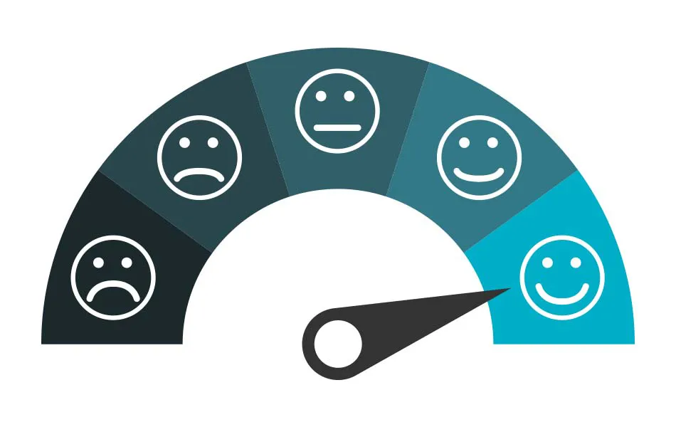 Customer Satisfaction Scale